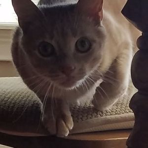 Meet your Posher, Jill